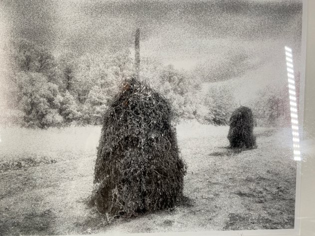 Image for Black and White Framed and Matted Photograph Original Art Signed by Artist Bob Parker of Leary GA