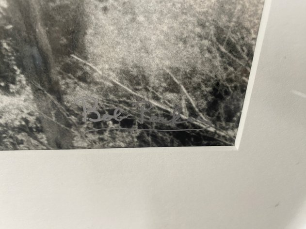 Image for Black and White Framed and Matted Black and White Photograph 