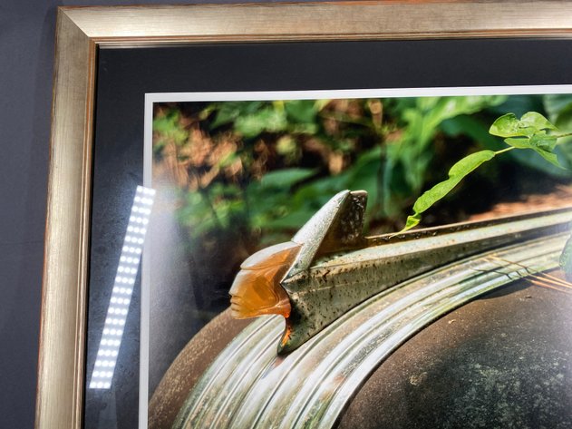 Image for Framed and Matted Colored Photograph Original Art Signed by Artist Bob Parker