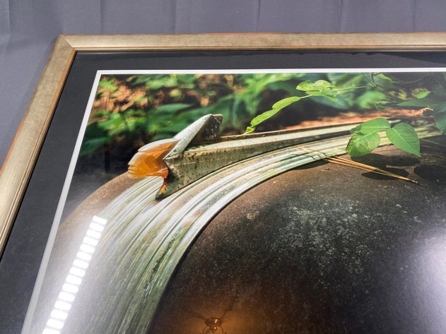 Image for Framed and Matted Colored Photograph Original Art Signed by Artist Bob Parker