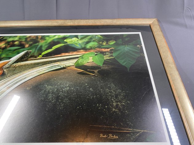 Image for Framed and Matted Colored Photograph Original Art Signed by Artist Bob Parker