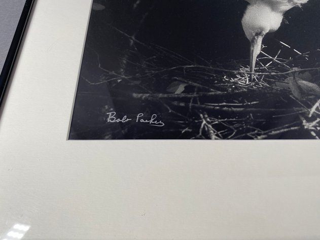 Image for Black and White Framed and Matted Photograph 