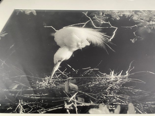 Image for Black and White Framed and Matted Photograph 