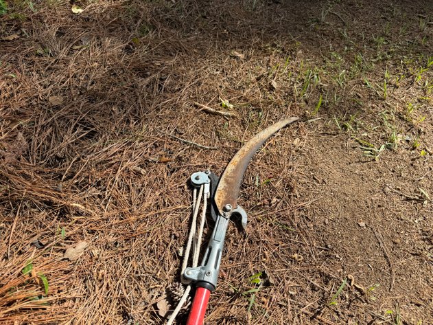 Image for Pole Saw And Loppers