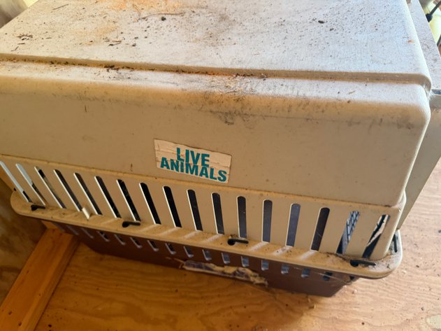 Image for Plastic Pet Carrier Or Animal Crate