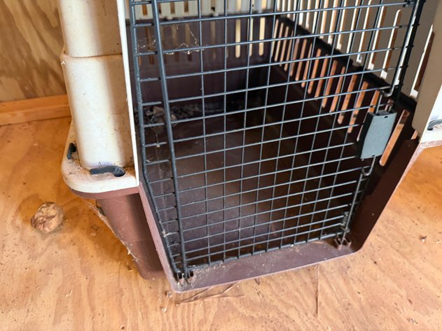 Image for Plastic Pet Carrier Or Animal Crate