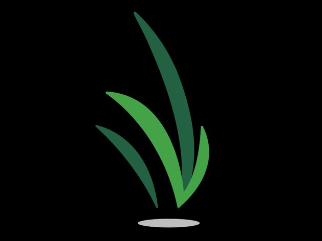 Image for Important Auction Information