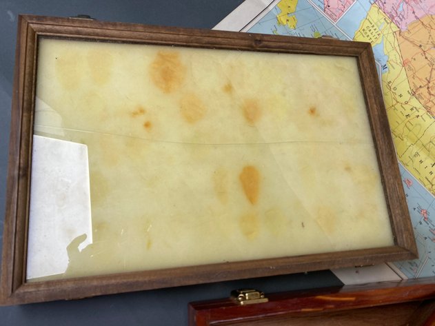 Image for Collection of Fossils, (4) Display Cases and American Map Company  50