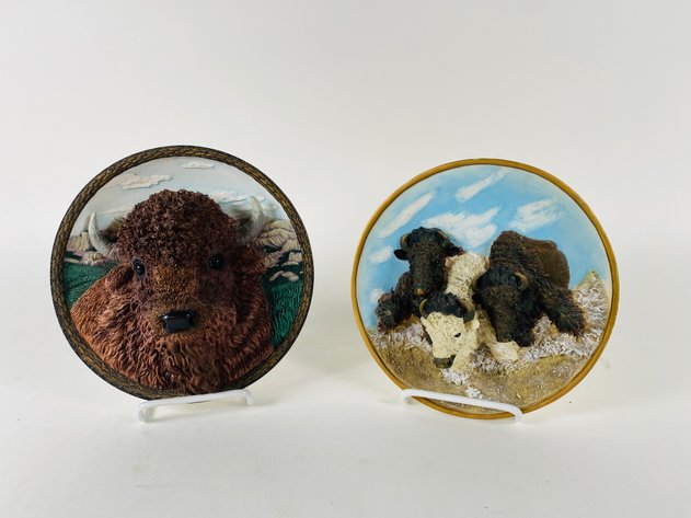 Image for (2) Decorative Collectors Plates 