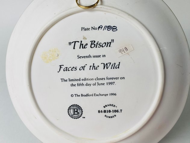 Image for (2) Decorative Collectors Plates 