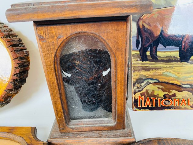 Image for (14) Piece Collection of Buffalo Themed Home Decor