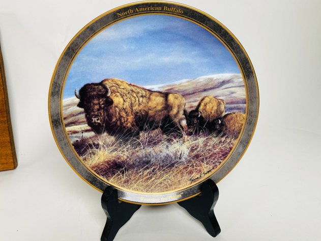 Image for (14) Piece Collection of Buffalo Themed Home Decor