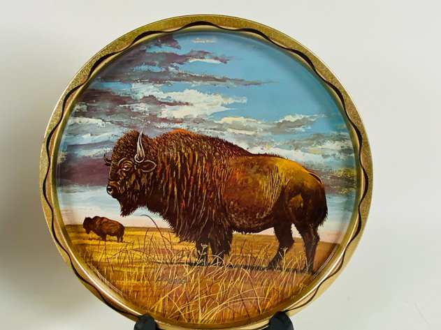 Image for (7) Assorted Buffalo Themed Decor and Vintage Collectibles
