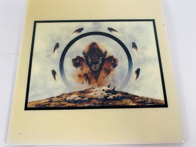 Image for (7) Buffalo Themed Ceramic Tiles and Trivets