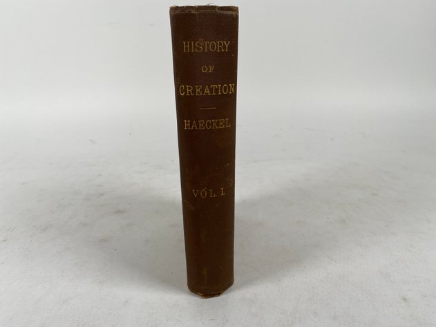 Image for 