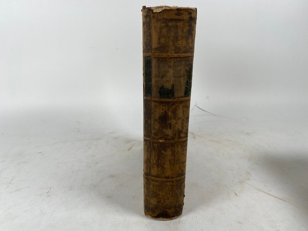 Image for Volume VIII of 