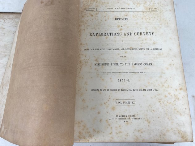 Image for Volume X of 