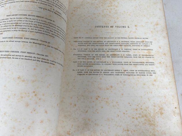 Image for Volume X of 