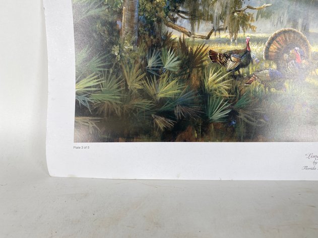 Image for 