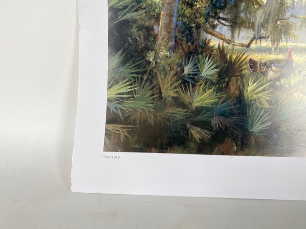 Image for 