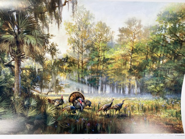 Image for 
