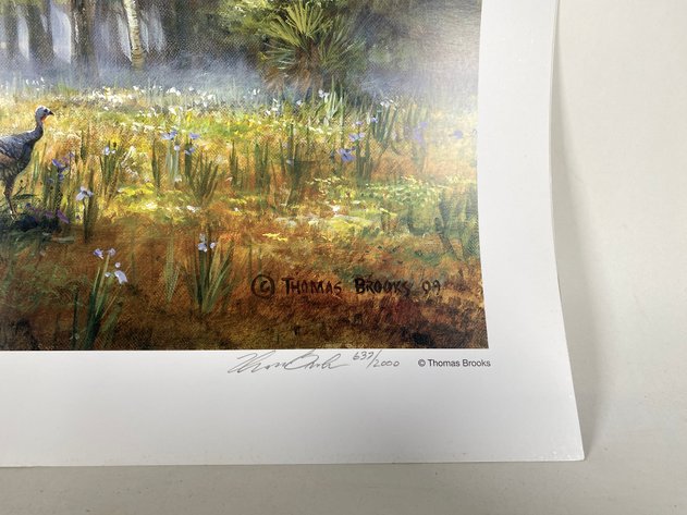 Image for 