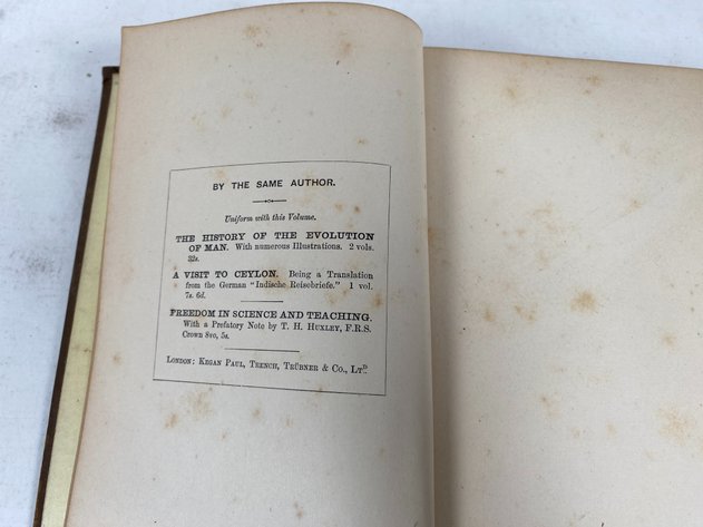 Image for 