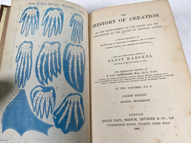 Image for 