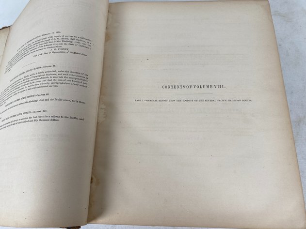 Image for Volume VIII of 