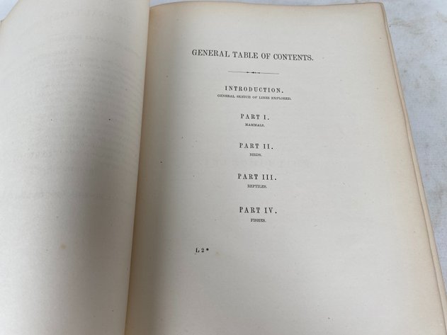 Image for Volume VIII of 