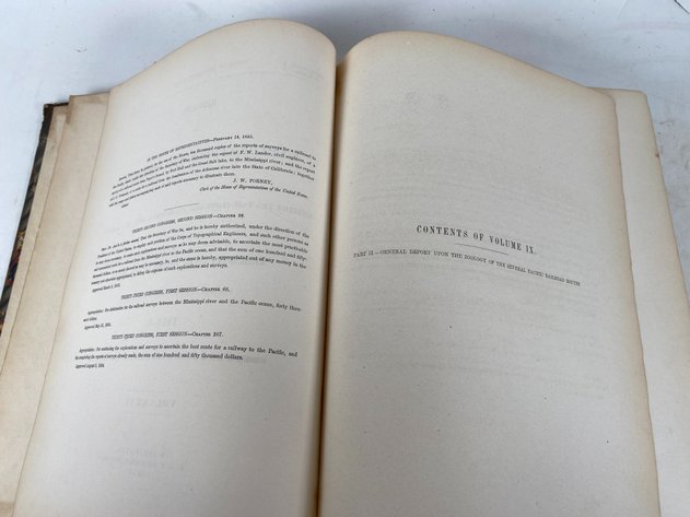 Image for Volume IX of 