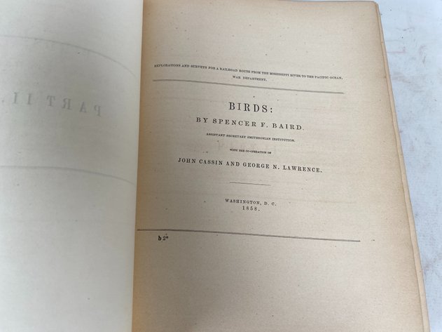 Image for Volume IX of 