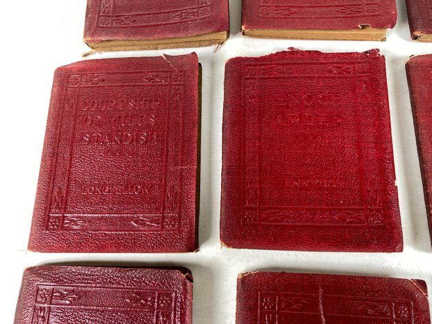 Image for (18) Antique Little Leather Readers
