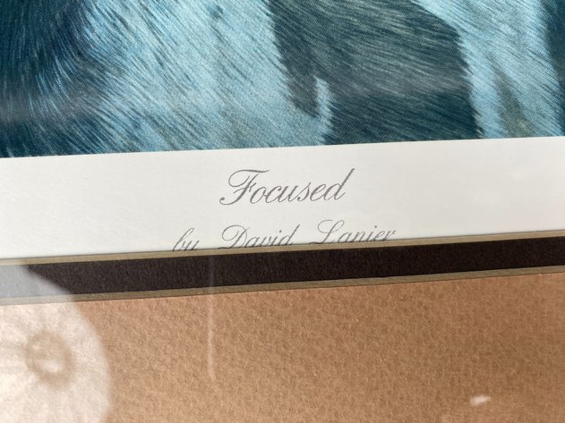 Image for Framed Art Signed by Artist David Lanier