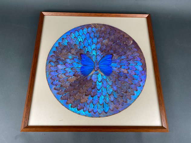 Image for Assorment of Framed Art