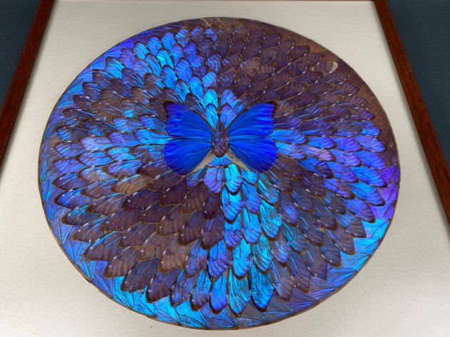 Image for Assorment of Framed Art
