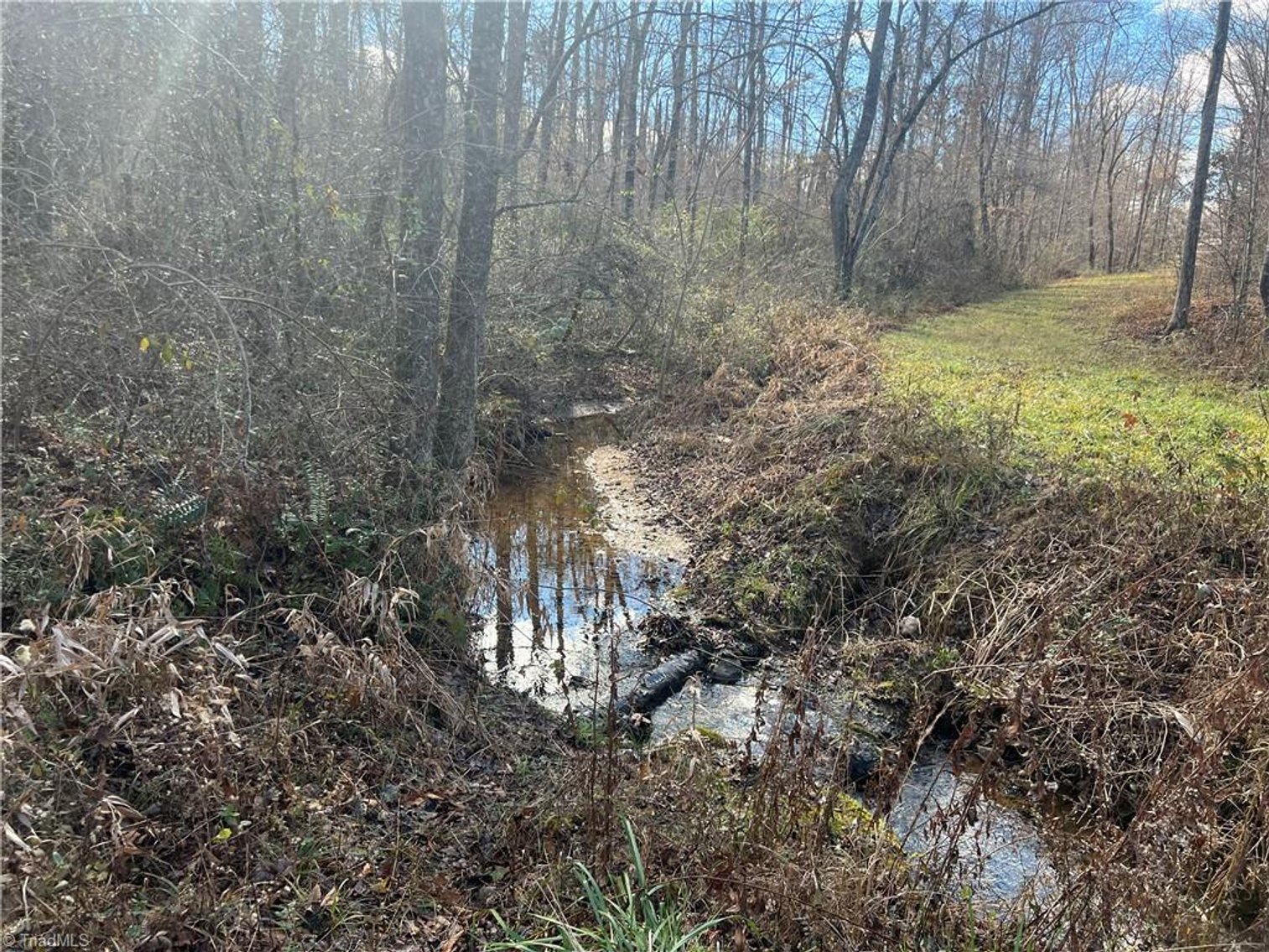 Image for Land For Sale in Dobson - 0 Main Street