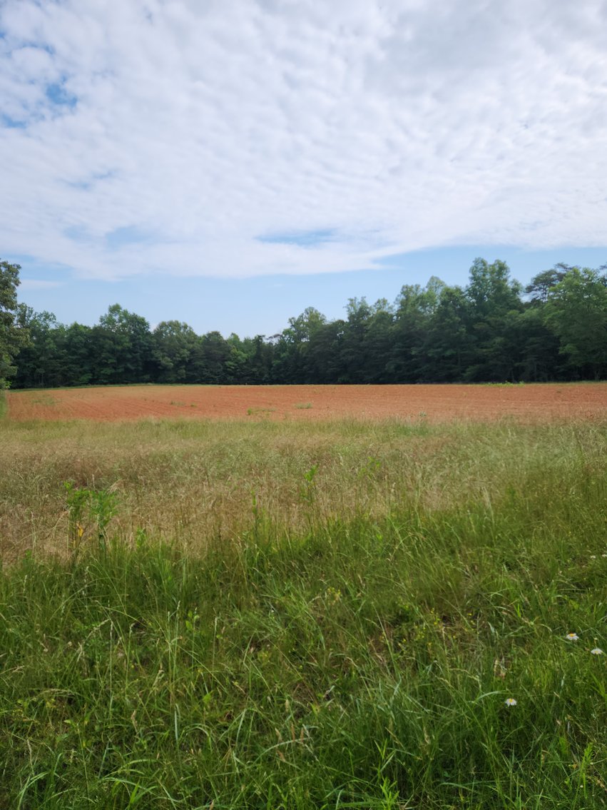 Image for Real Estate Auction - 17.914 Acres in Patrick County, VA