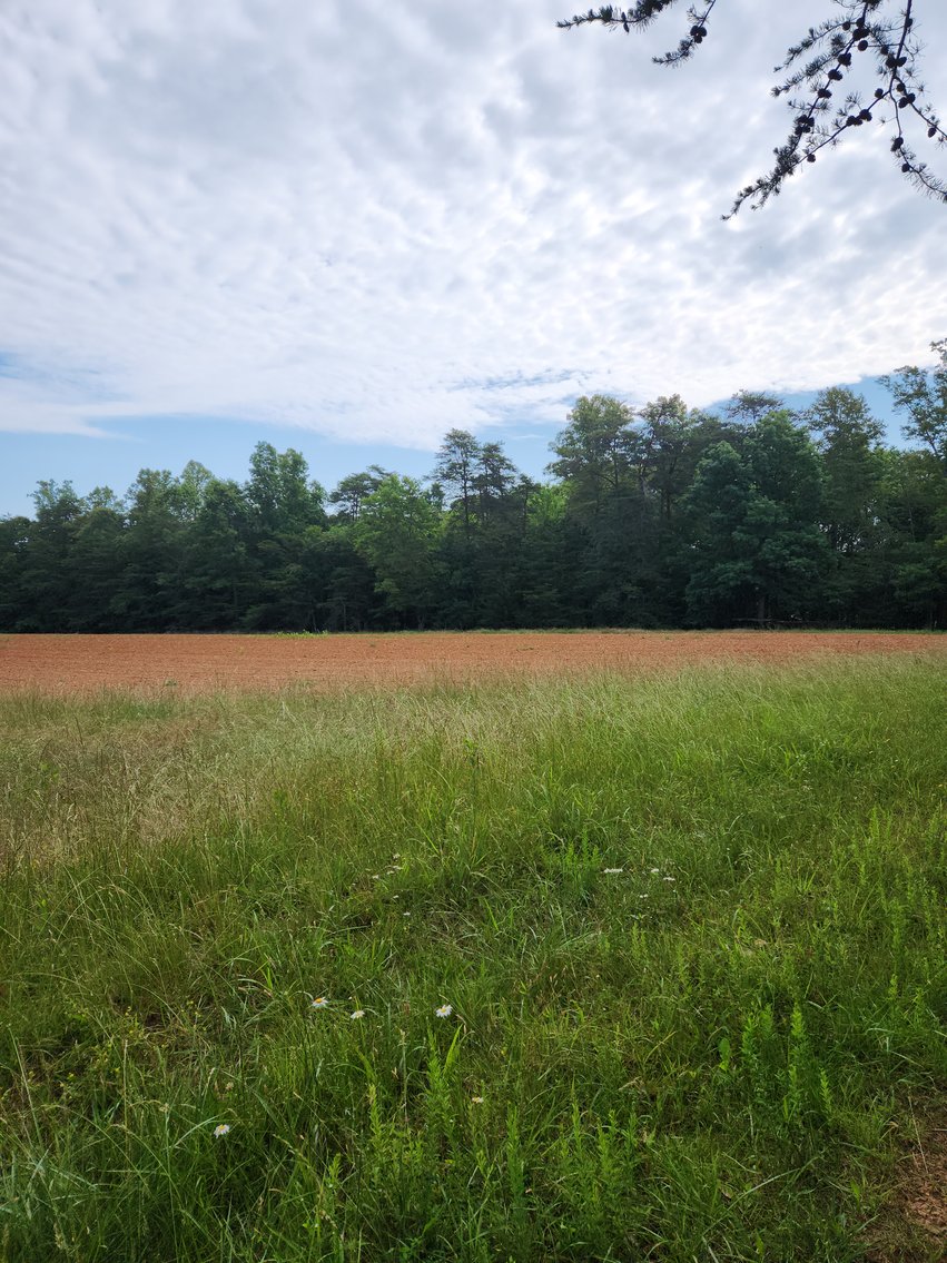 Image for Real Estate Auction - 17.914 Acres in Patrick County, VA