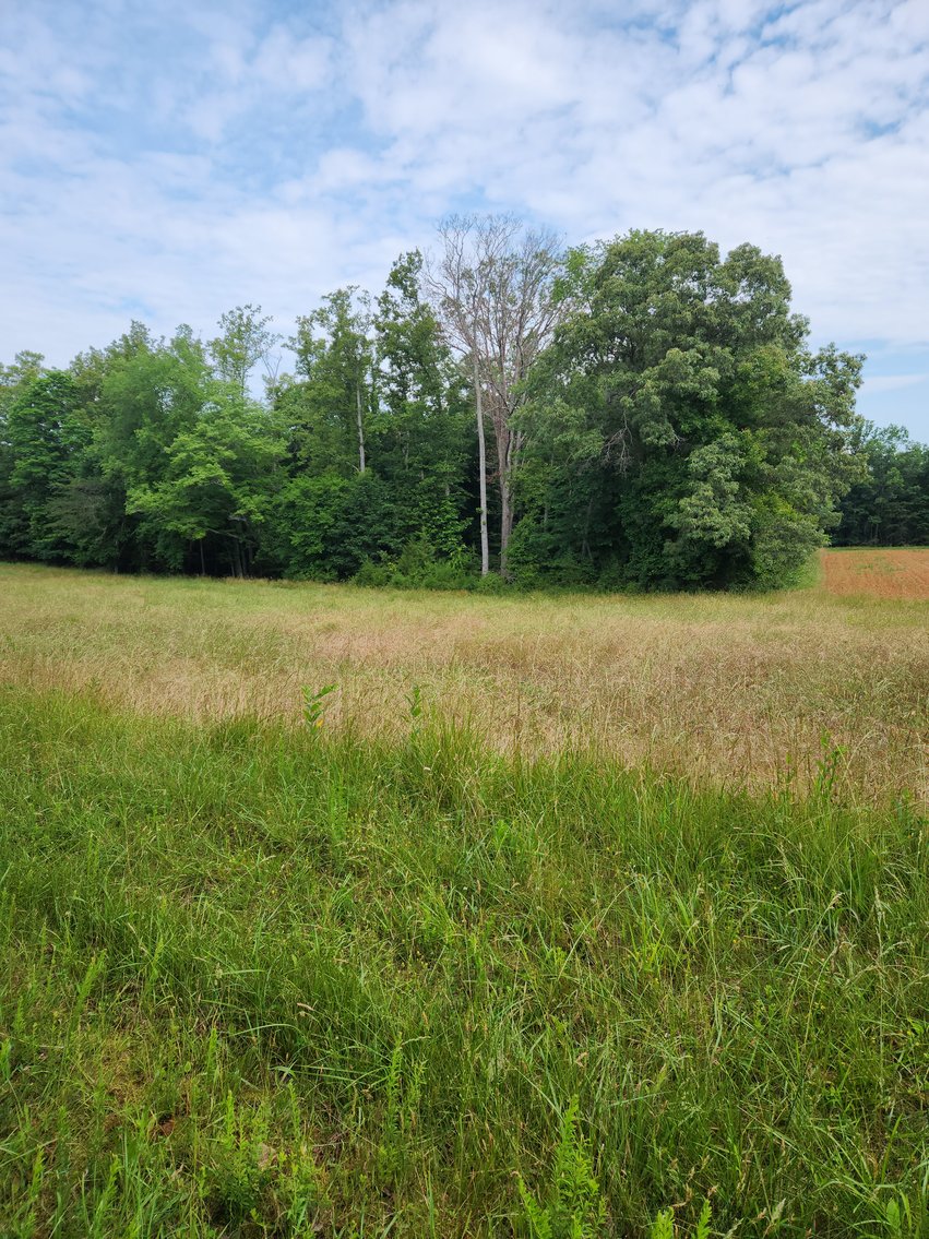 Image for Real Estate Auction - 17.914 Acres in Patrick County, VA