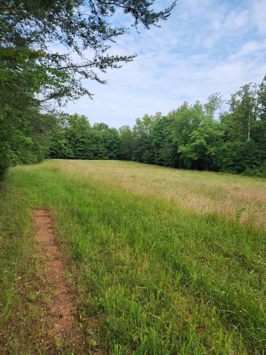 Image for Real Estate Auction - 17.914 Acres in Patrick County, VA