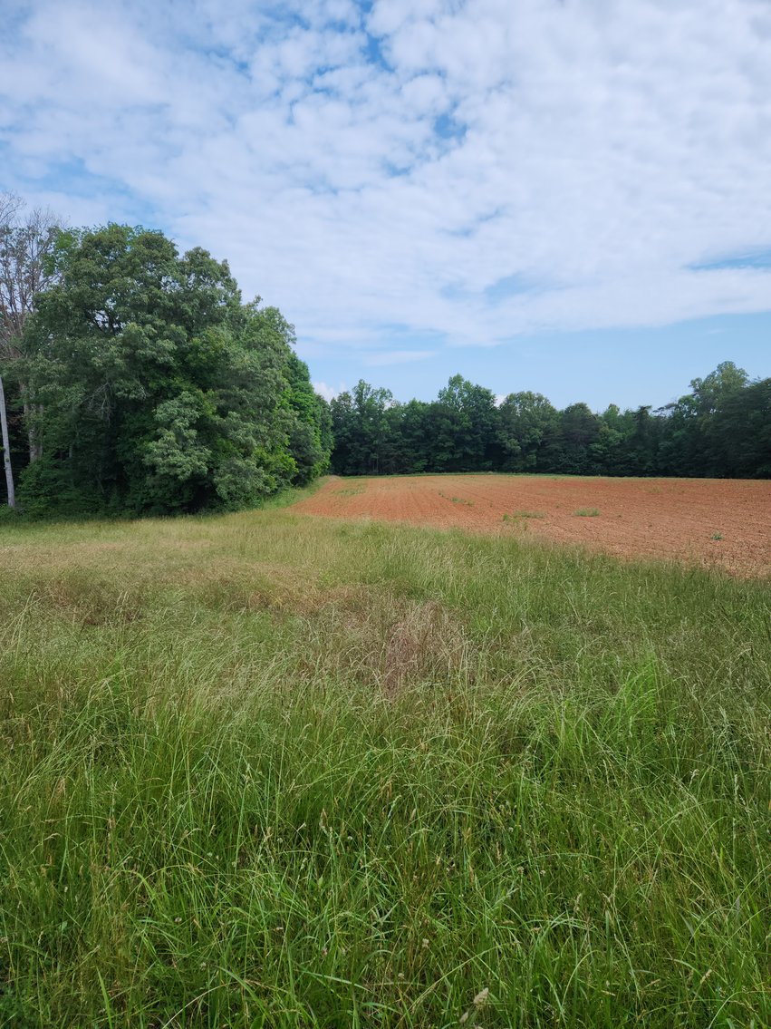 Image for Real Estate Auction - 17.914 Acres in Patrick County, VA