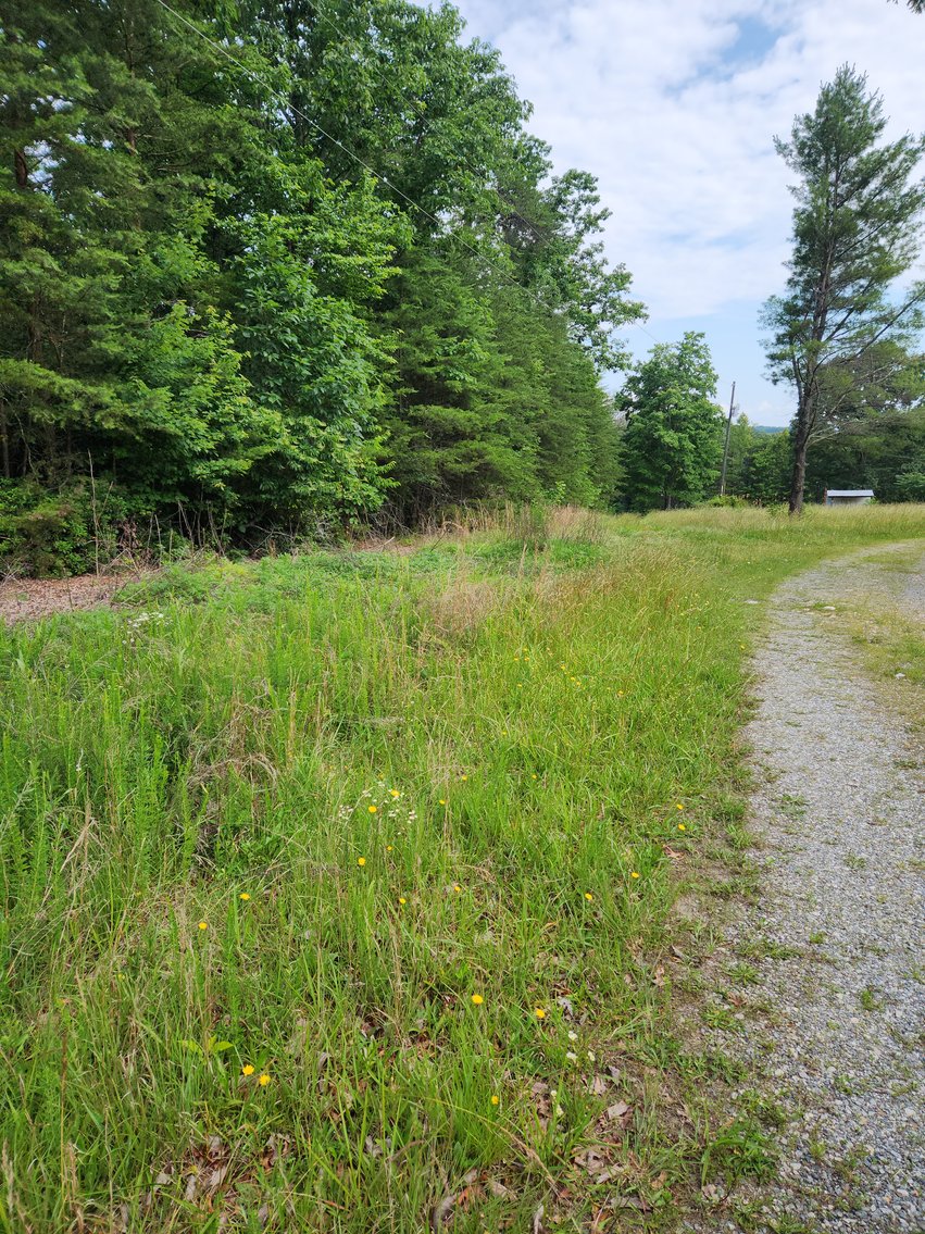 Image for Real Estate Auction - 17.914 Acres in Patrick County, VA