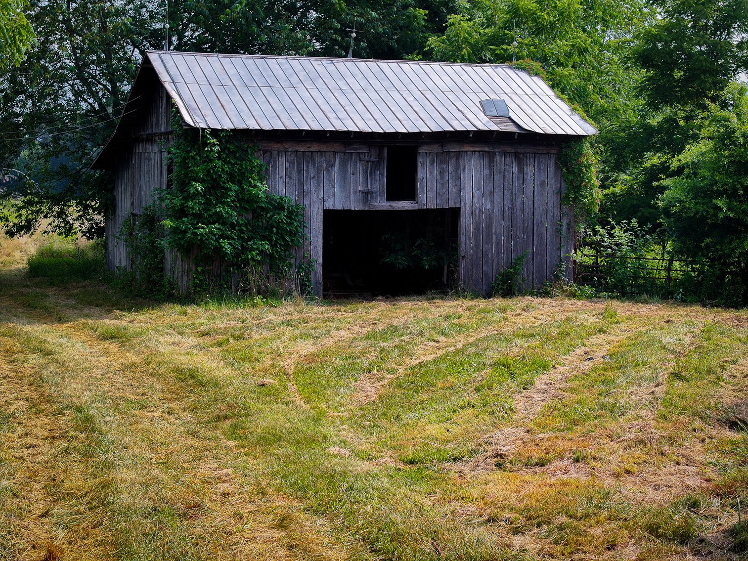 Image for Commissioner's Sale - 59± Acres in Mount Airy, NC (In Upset Bid Period)