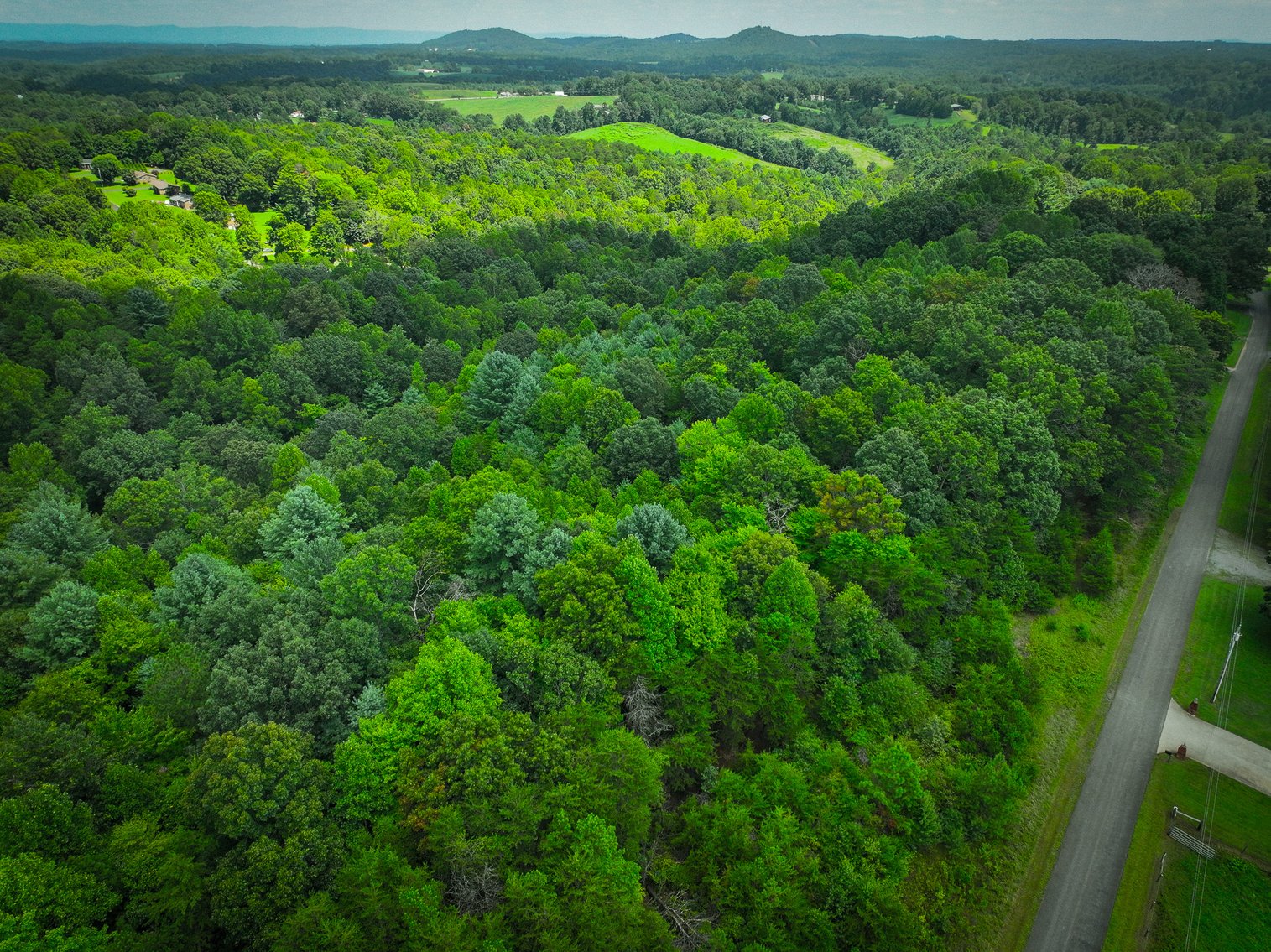 Image for Land For Sale in Dobson - 000 Arthur Haney Road