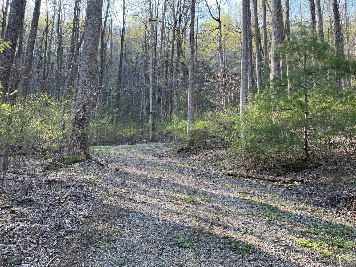 Image for Estate of The Late Jimmy Ray Newman: 3 Lots in Cascade Mountain