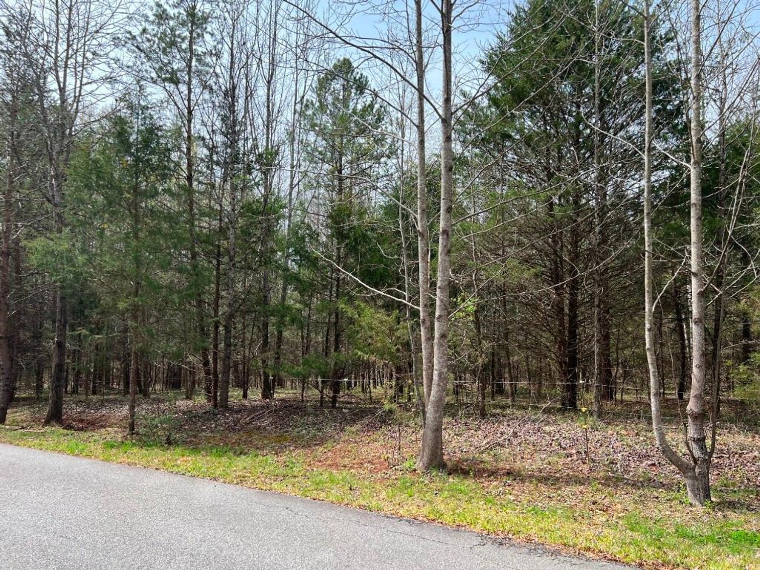 Image for Real Estate Auction - 60.9537± Acres in Forsyth County, NC