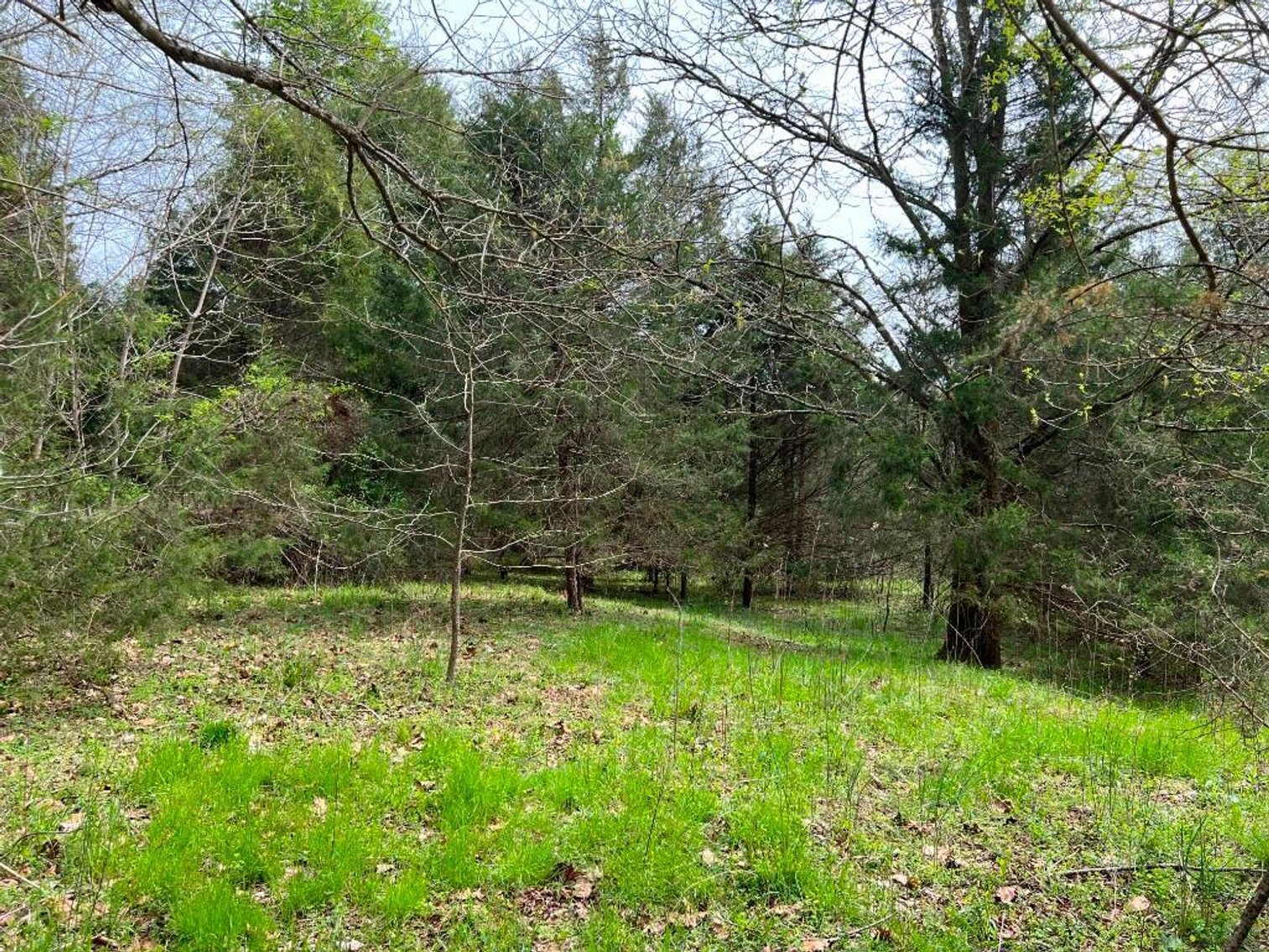 Image for Real Estate Auction - 60.9537± Acres in Forsyth County, NC