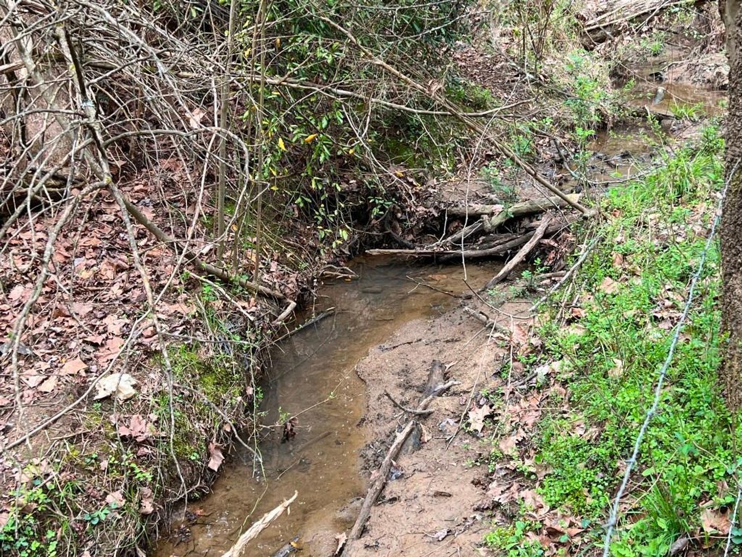Image for Real Estate Auction - 60.9537± Acres in Forsyth County, NC
