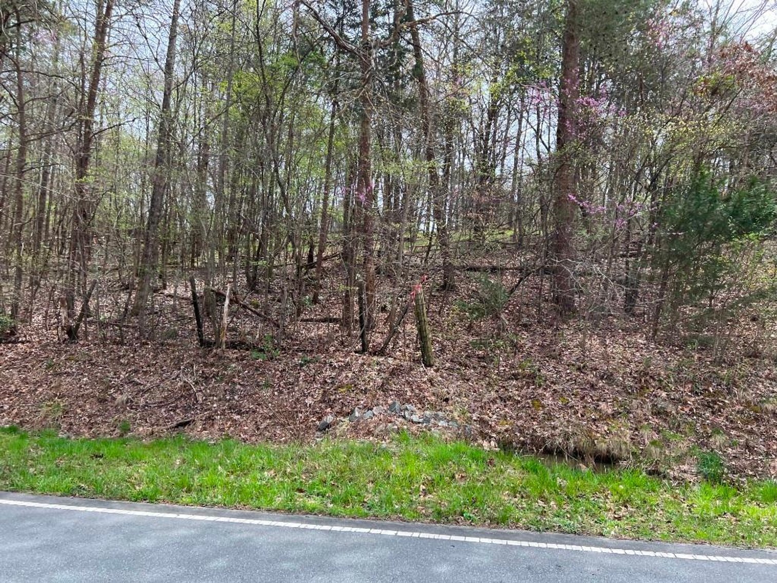 Image for Real Estate Auction - 60.9537± Acres in Forsyth County, NC
